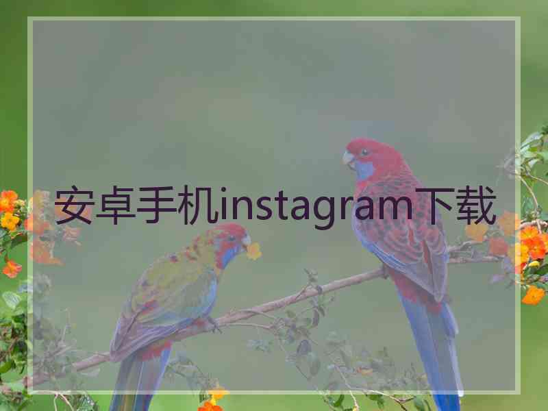 安卓手机instagram下载