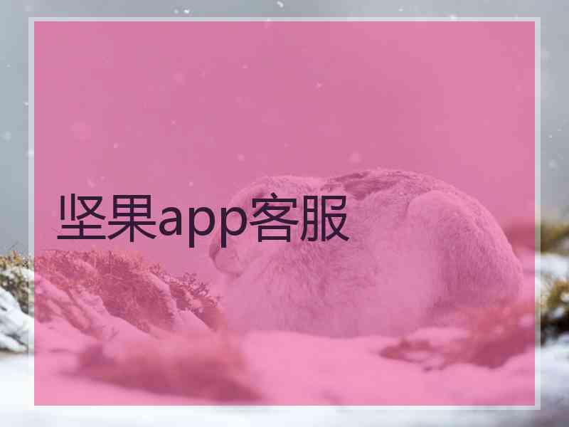 坚果app客服