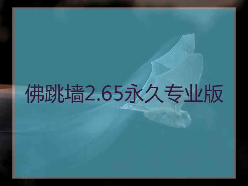 佛跳墙2.65永久专业版