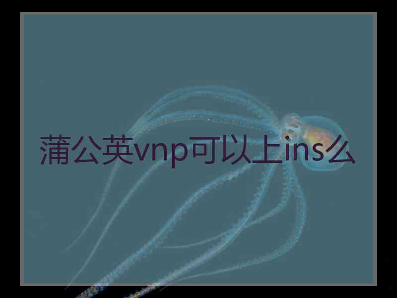 蒲公英vnp可以上ins么