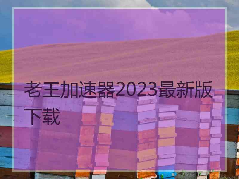 老王加速器2023最新版下载