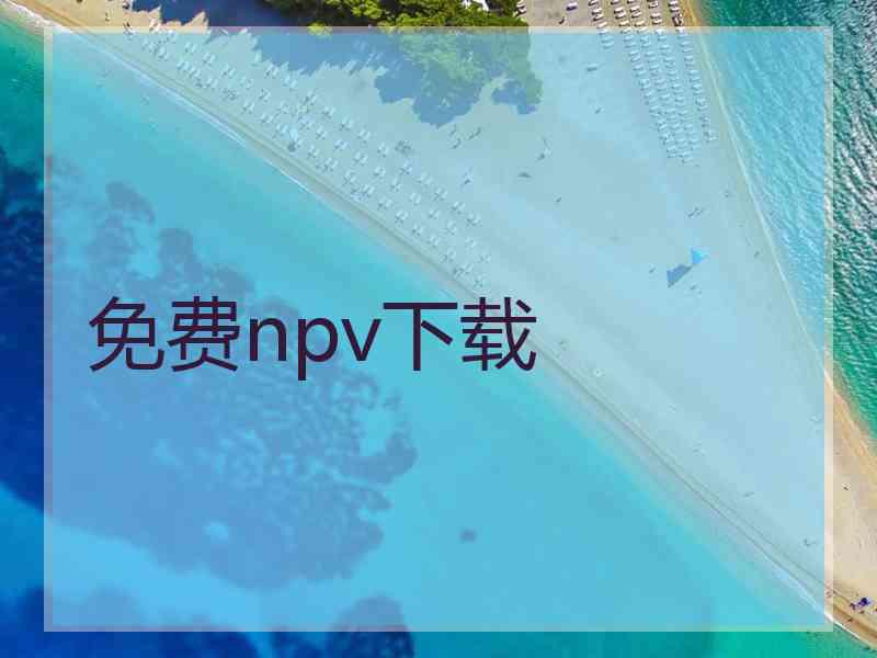 免费npv下载