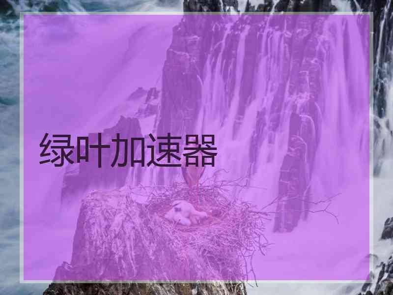 绿叶加速器