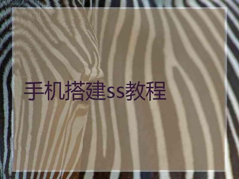 手机搭建ss教程