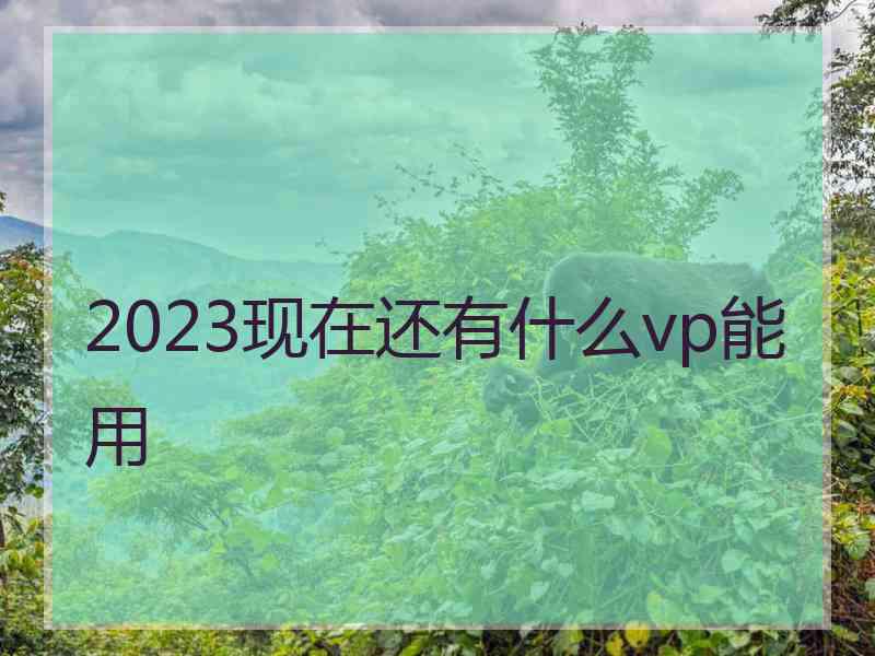 2023现在还有什么vp能用